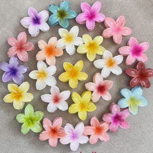 کلیپس پلومری