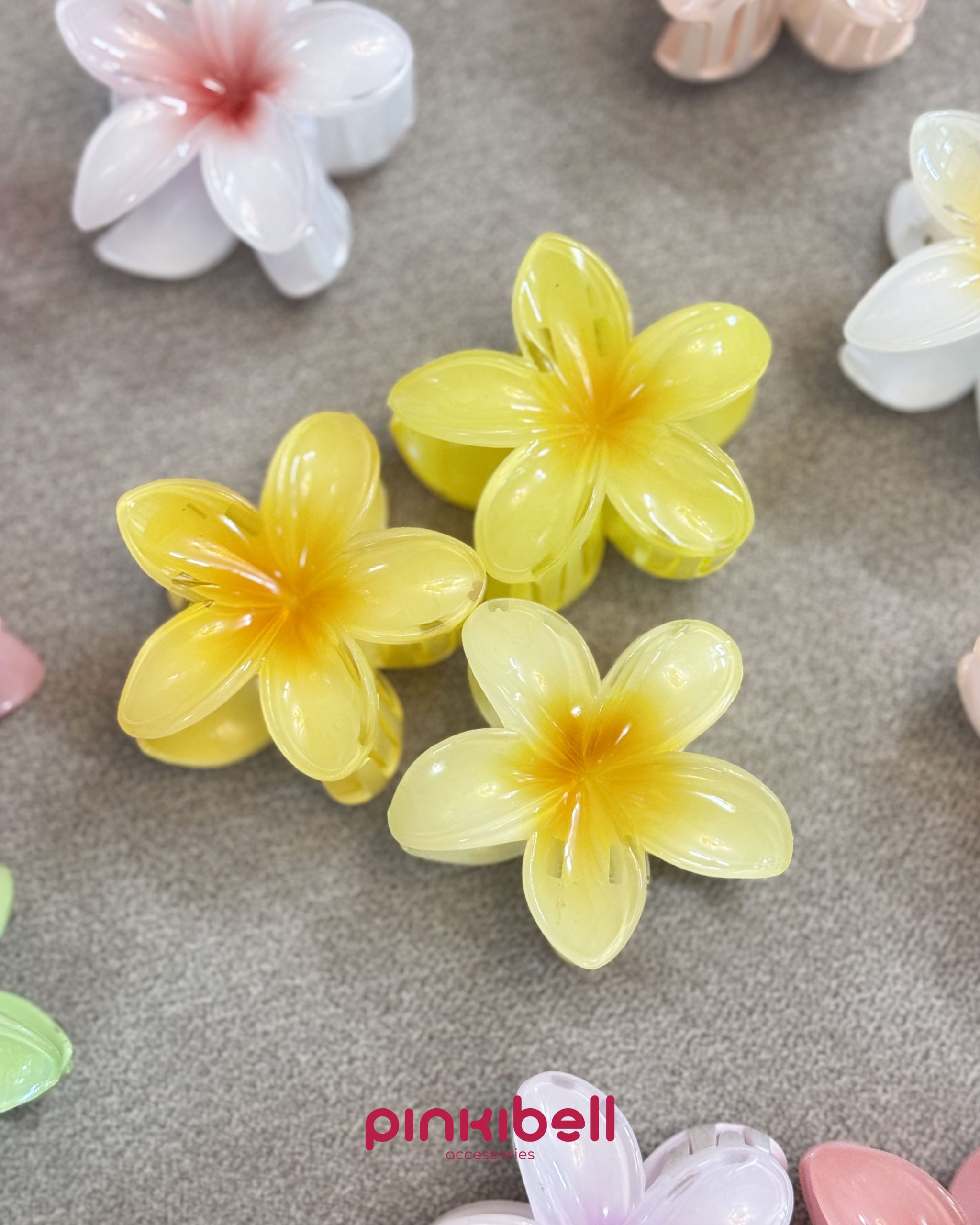 کلیپس گل پلومری